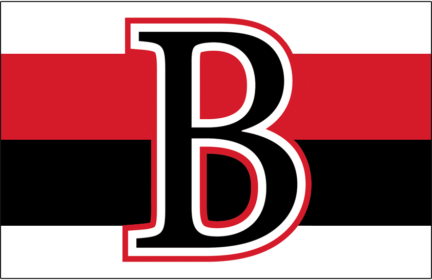 Belleville Senators 2017-Pres Jersey Logo iron on heat transfer